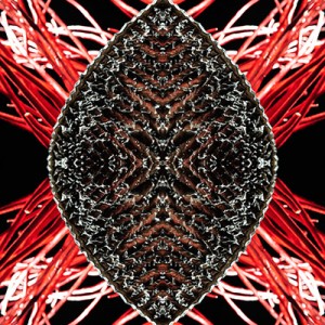 https://www.alainpierot.com:443/files/gimgs/th-13_fil rouge 100x100web.jpg